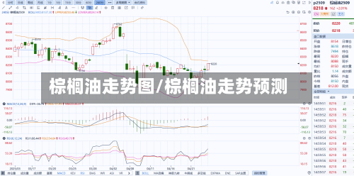 棕榈油走势图/棕榈油走势预测-第2张图片