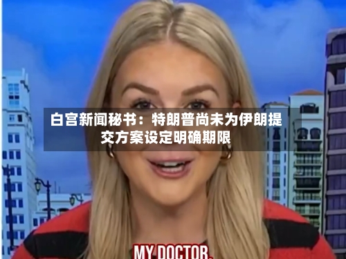 白宫新闻秘书：特朗普尚未为伊朗提交方案设定明确期限-第2张图片