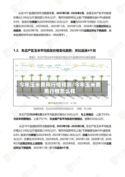 今年玉米费用行情预测/今年玉米费用行情怎么样-第1张图片