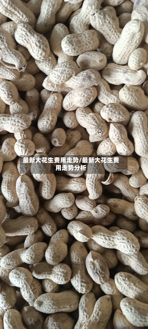 最新大花生费用走势/最新大花生费用走势分析-第2张图片