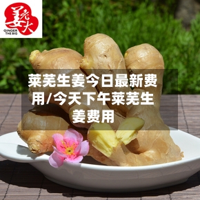 莱芜生姜今日最新费用/今天下午莱芜生姜费用-第1张图片