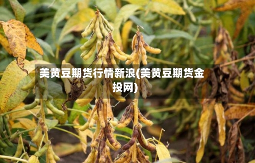 美黄豆期货行情新浪(美黄豆期货金投网)-第2张图片