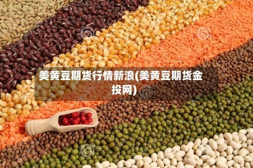 美黄豆期货行情新浪(美黄豆期货金投网)-第1张图片