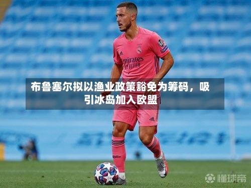 布鲁塞尔拟以渔业政策豁免为筹码，吸引冰岛加入欧盟-第2张图片