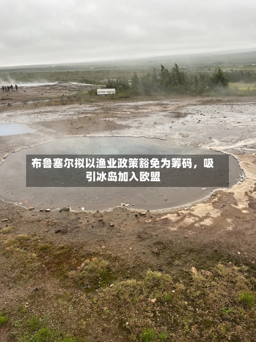 布鲁塞尔拟以渔业政策豁免为筹码	，吸引冰岛加入欧盟-第3张图片