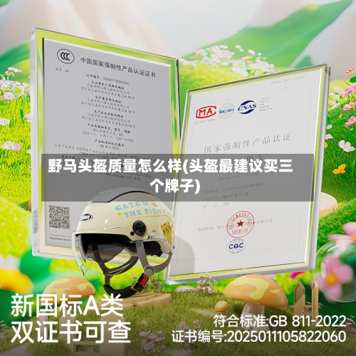 野马头盔质量怎么样(头盔最建议买三个牌子)-第1张图片