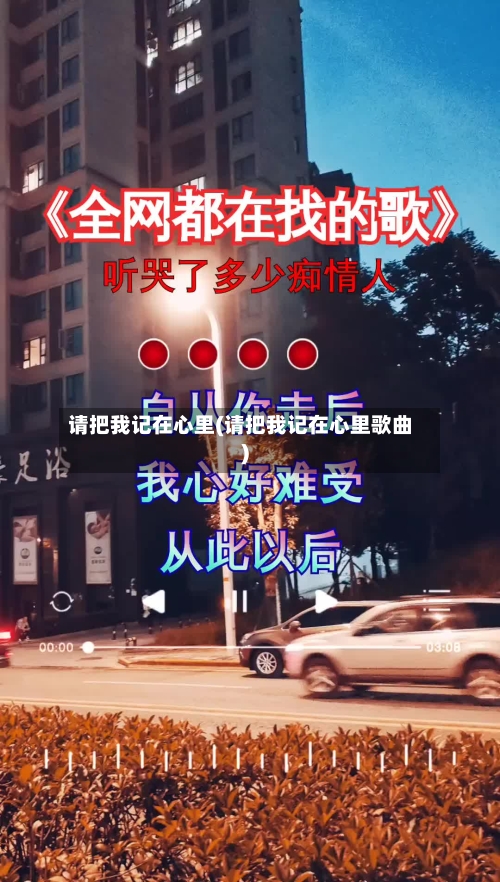 请把我记在心里(请把我记在心里歌曲)-第2张图片