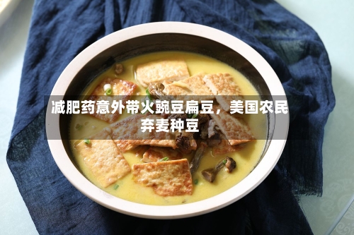 减肥药意外带火豌豆扁豆，美国农民弃麦种豆-第1张图片