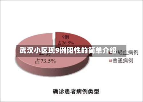 武汉小区现9例阳性的简单介绍-第2张图片