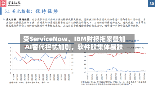 受ServiceNow、IBM财报拖累叠加AI替代担忧加剧，软件股集体暴跌-第3张图片