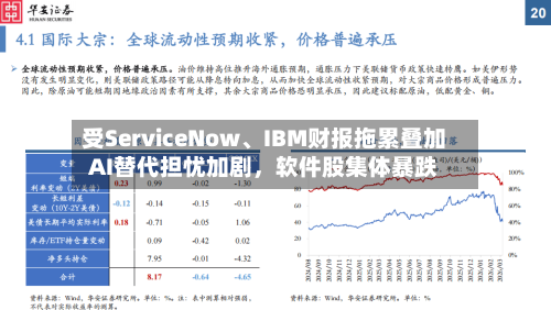 受ServiceNow	、IBM财报拖累叠加AI替代担忧加剧，软件股集体暴跌-第2张图片