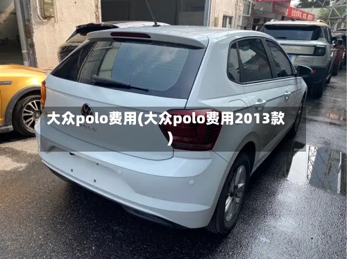 大众polo费用(大众polo费用2013款)-第2张图片