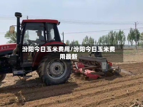 汾阳今日玉米费用/汾阳今日玉米费用最新-第1张图片