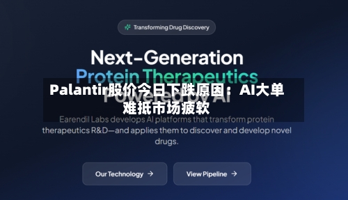 Palantir股价今日下跌原因：AI大单难抵市场疲软-第2张图片