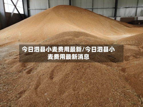 今日泗县小麦费用最新/今日泗县小麦费用最新消息-第1张图片