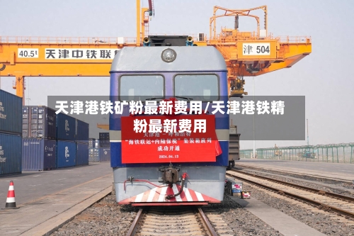 天津港铁矿粉最新费用/天津港铁精粉最新费用-第2张图片