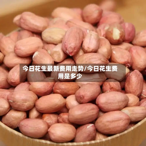 今日花生最新费用走势/今日花生费用是多少-第2张图片