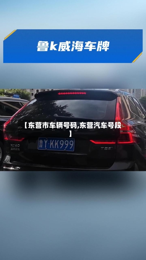 【东营市车辆号码,东营汽车号段】-第1张图片