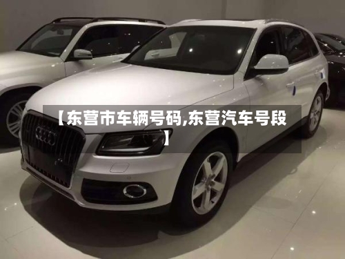【东营市车辆号码,东营汽车号段】-第2张图片