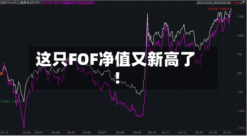 这只FOF净值又新高了！-第1张图片