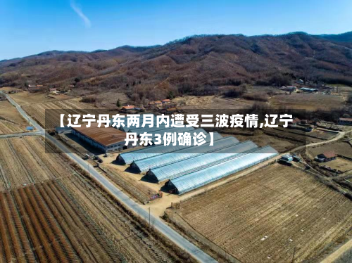 【辽宁丹东两月内遭受三波疫情,辽宁丹东3例确诊】-第2张图片