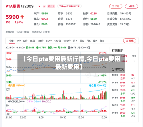 【今日pta费用最新行情,今日pta费用最新费用】-第2张图片