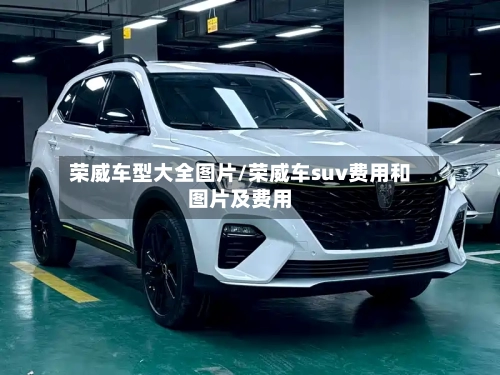 荣威车型大全图片/荣威车suv费用和图片及费用-第3张图片