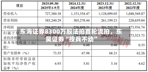 东海证券8300万股法拍首轮流拍，东吴证券“按兵不动”-第3张图片