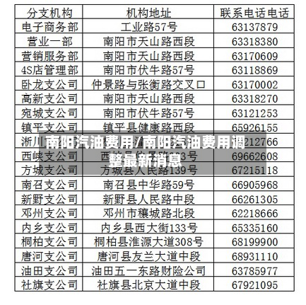 南阳汽油费用/南阳汽油费用调整最新消息-第1张图片