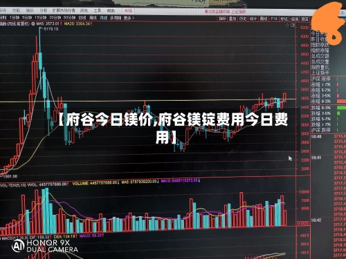 【府谷今日镁价,府谷镁锭费用今日费用】-第1张图片