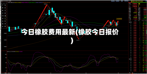 今日橡胶费用最新(橡胶今日报价)-第1张图片