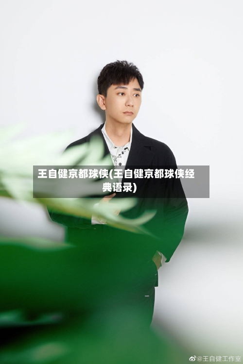 王自健京都球侠(王自健京都球侠经典语录)-第1张图片