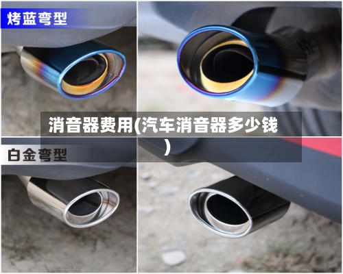 消音器费用(汽车消音器多少钱)-第1张图片