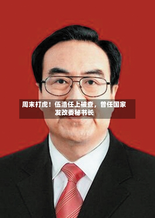 周末打虎！伍浩任上被查	，曾任国家发改委秘书长-第3张图片