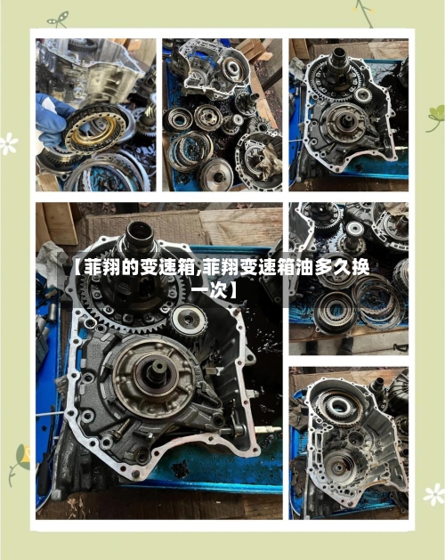 【菲翔的变速箱,菲翔变速箱油多久换一次】-第1张图片