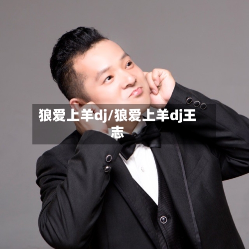 狼爱上羊dj/狼爱上羊dj王志-第1张图片