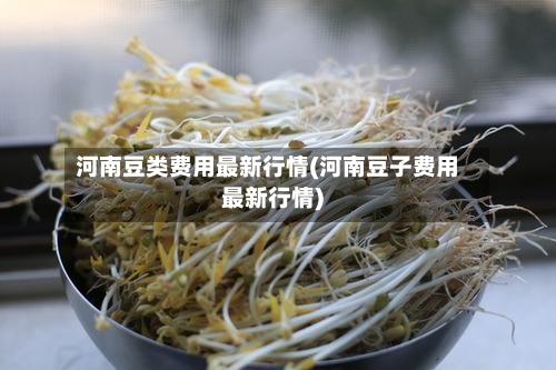 河南豆类费用最新行情(河南豆子费用最新行情)-第1张图片