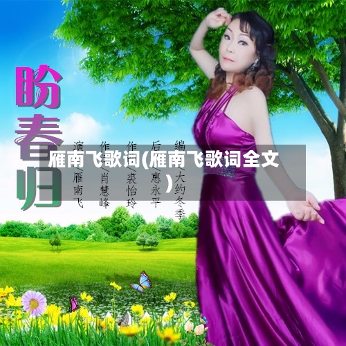 雁南飞歌词(雁南飞歌词全文)-第2张图片