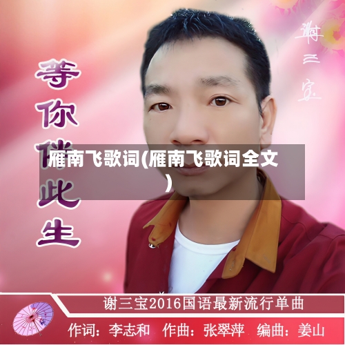 雁南飞歌词(雁南飞歌词全文)-第1张图片