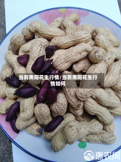 当前南阳花生行情/当前南阳花生行情如何-第2张图片