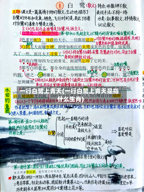 一行白鹭上青天(一行白鹭上青天是指什么生肖)-第2张图片