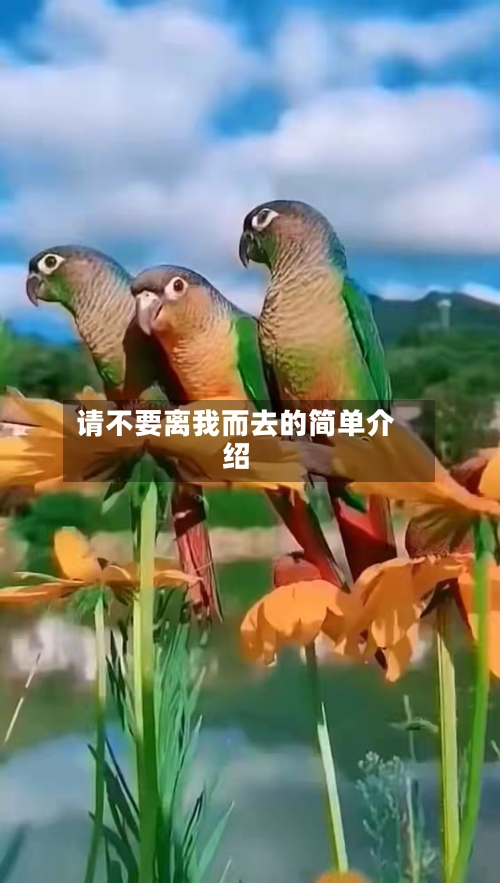 请不要离我而去的简单介绍-第3张图片