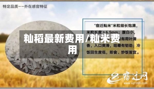 籼稻最新费用/籼米费用-第1张图片