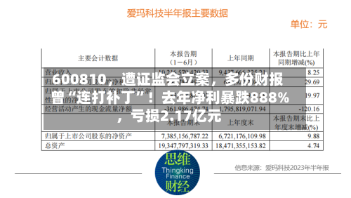 600810，遭证监会立案	，多份财报曾“连打补丁”！去年净利暴跌888%，亏损2.17亿元-第1张图片