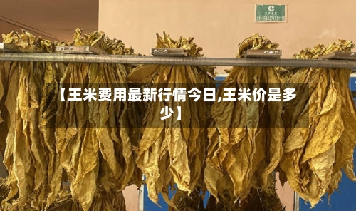 【王米费用最新行情今日,王米价是多少】-第1张图片