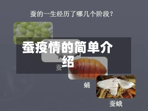 蚕疫情的简单介绍-第2张图片