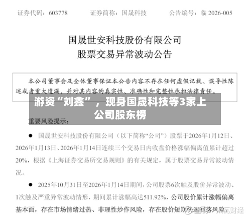 游资“刘鑫	” ，现身国晟科技等3家上公司股东榜-第2张图片