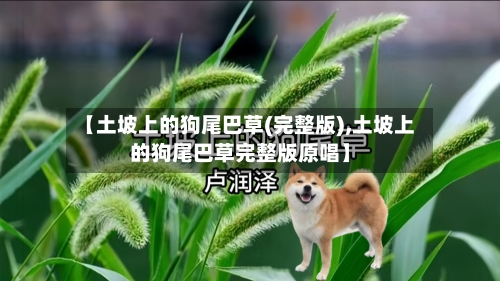 【土坡上的狗尾巴草(完整版),土坡上的狗尾巴草完整版原唱】-第1张图片