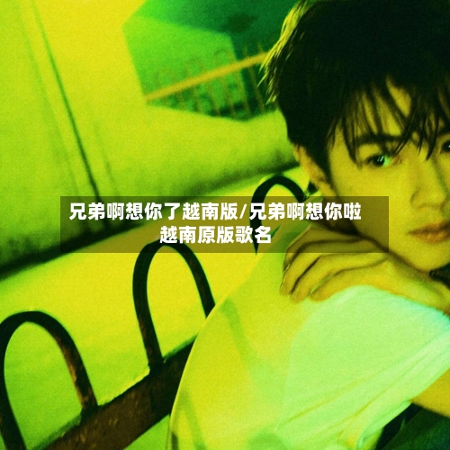 兄弟啊想你了越南版/兄弟啊想你啦越南原版歌名-第3张图片