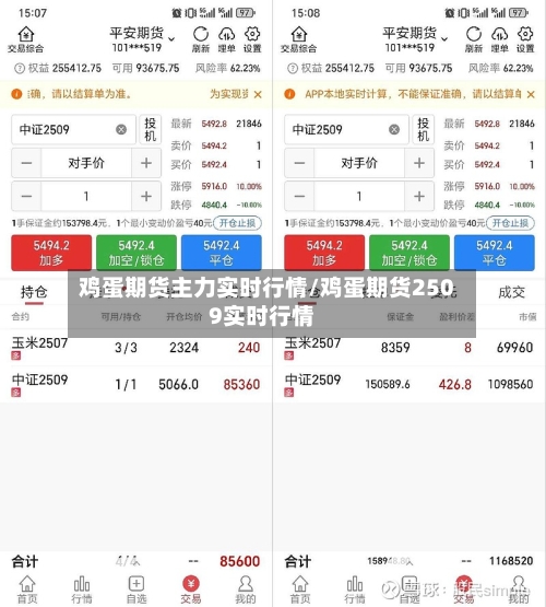鸡蛋期货主力实时行情/鸡蛋期货2509实时行情-第1张图片